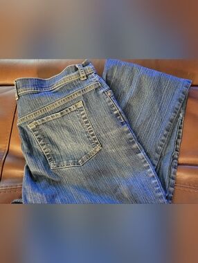 Gloria Vanderbilt Women's Amanda Classic Straight Leg Blue Jeans 14 Long